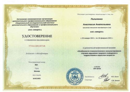 Пилипенко А.А. РПП